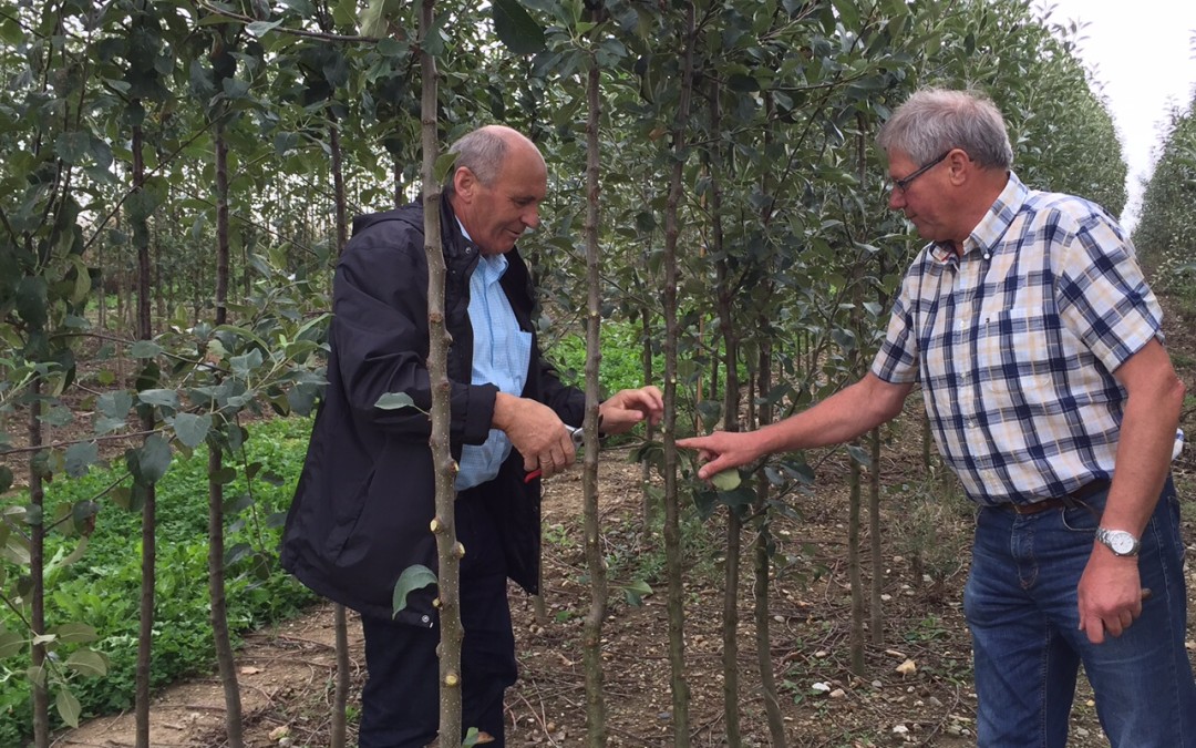 Waldemar Westermayer zu Besuch in der Baumschule Scheerer in Bad Waldsee